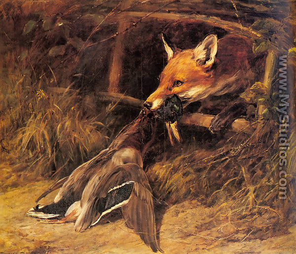 Returning to the Fox
