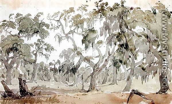 Sara Soto, Florida, 1840 - Seth Eastman