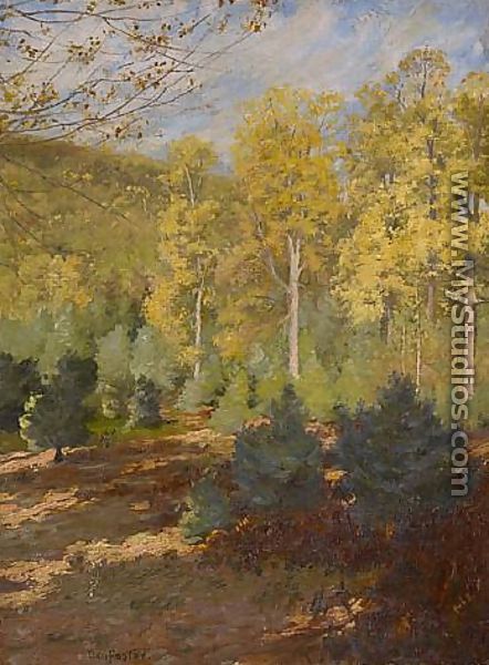 Forest Interior, Autumn - Ben Foster