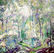 Laurel Forest - Dorothea M. Litzinger