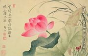 Lotus flower, by Yun Shou-Ping (1633-90), from an Album of Flowers - Shouping Yun