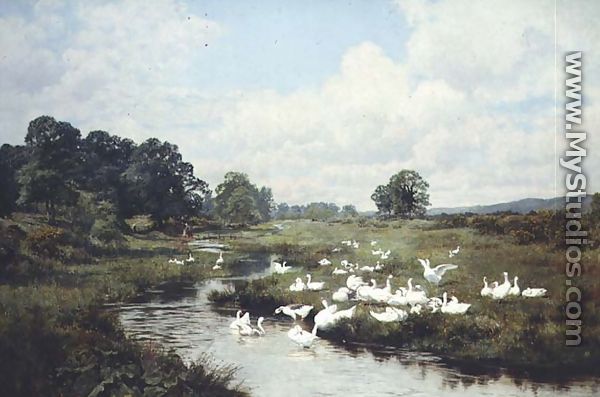 The Freedom of the Common, Wonhams Marsh, Surrey, 1905 - Edward Wilkins Waite