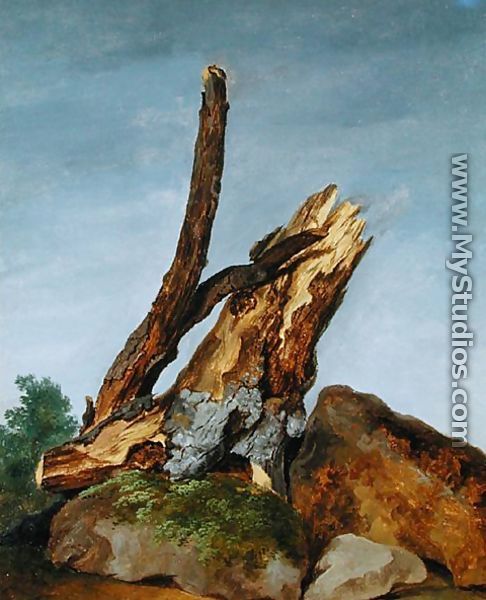 Study of Rocks and Branches, c.1795 - George Augustus Wallis