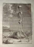 Albinus I, Tab. III: Skeleton, illustration from 'Tabulae sceleti et musculorum corporis humani', by Bernhard Siegfried Albinus (1697-1770), published by J.&H. Verbeek, bibliop., Leiden, 1747 - Jan Wandelaar