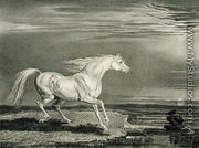 Marengo, from Celebrated Horses, a set of fourteen racing prints published by the artist, 1823-24 - (after) Ward, James