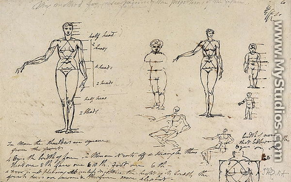 Studies of anatomy with measurements and writing - James Ward