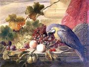 Still life of fruit and a parrot, 1855 - Thomas C. Ward