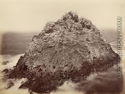 Sugar Loaf Island, Farallon National Wildlife Refuge, California, USA, 1869 - Carleton Emmons Watkins