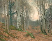 A Welsh Wood in Winter - James Thomas Watts