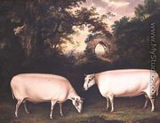 Two Prize Border Leicester Rams in a Landscape, 1800 - Thomas Weaver