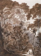 The Fan Palm in the Island of Cracatoa, from Views in the South Seas, pub. 1788 - John Webber