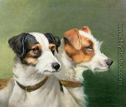 Two Fox Terriers, 1898 - Alfred Wheeler