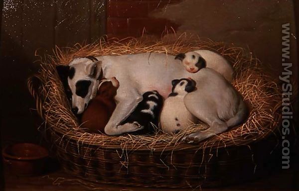 Bitch with her Puppies in a Wicker Basket - Samuel de Wilde