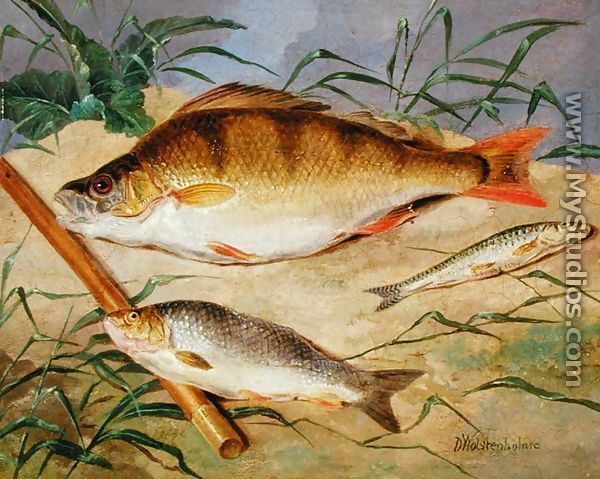 An Anglers Catch of Coarse Fish - Dean Wolstenholme, Jr