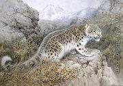 Snow Leopard, c.1920 - William Woodhouse