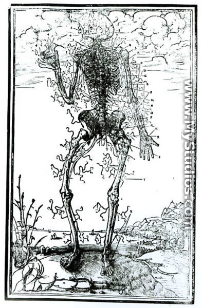 Vascular System of the Body  - Andreas Vesalius
