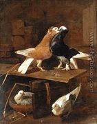 Pigeons - Jacomo (or Victor, Jacobus) Victors