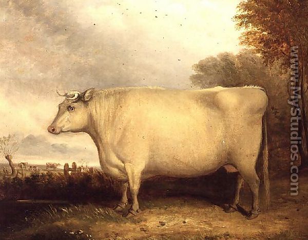 White, Short-horned Cow in a Landscape - John Vine
