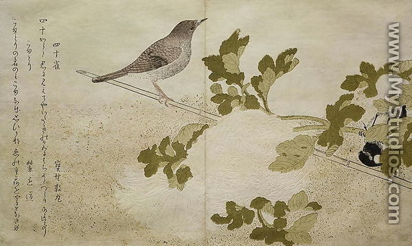 Manchurian Great Tit and a Robin, from an album Birds compared in Humorous Songs, 1791 - Kitagawa Utamaro