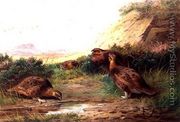 Grouse in a Landscape - Archibald Thorburn