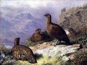 Red Grouse on the Shore of a Loch - Archibald Thorburn