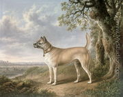 A Terrier on a path in a wooded landscape - Charles Towne