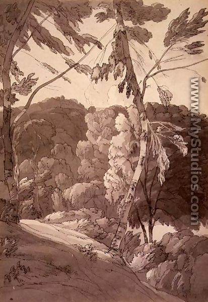 A Wooded Landscape A Scene at Indinowle 1783 - Francis Towne
