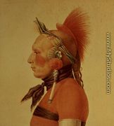 An Osage Warrior, 1804  - Charles Balthazar J. F. Saint-Memin