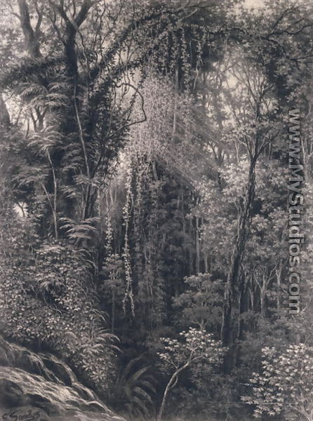 View of the Gorge above Apia, Upolu, Western Samoa, 1877 - Emma Sandys