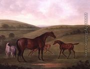 Mare with Foals in a Landscape - John Nost Sartorius
