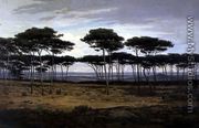 The Pines of Pledeliac - Alexandre Sege