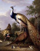 Peacock, Hen and Cock Pheasant in a Landscape - Tobias Stranover