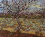 Apricot Trees In Blossom II - Vincent Van Gogh