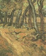 The Garden Of Saint Paul Hospital With Figure - Vincent Van Gogh