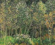 The Grove - Vincent Van Gogh