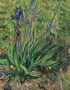 The Iris - Vincent Van Gogh