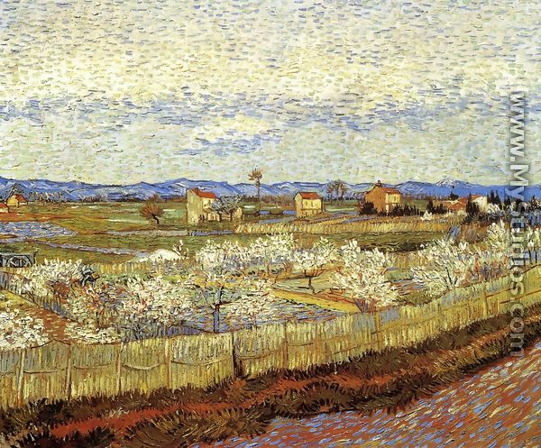 La Crau With Peach Trees In Blossom - Vincent Van Gogh