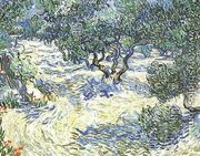 Olive Grove - Vincent Van Gogh