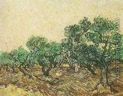 Olive Picking - Vincent Van Gogh