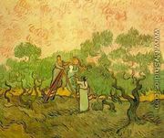 Olive Picking II - Vincent Van Gogh