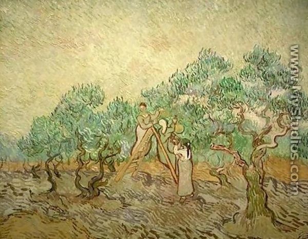 Olive Picking III - Vincent Van Gogh