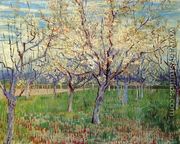 Orchard With Blossoming Apricot Trees - Vincent Van Gogh