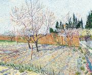 Orchard With Peach Trees In Blossom II - Vincent Van Gogh