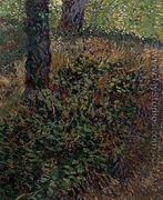 Undergrowth - Vincent Van Gogh
