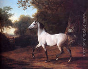 A Grey Arab Stallion In A Wooded Landscape - Jacques Laurent Agasse