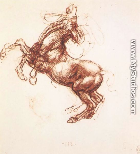 Rearing Horse - Leonardo Da Vinci