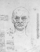 Study On The Proportions Of Head And Eyes - Leonardo Da Vinci