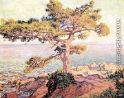 Pine By The Mediterranean Sea - Theo Van Rysselberghe