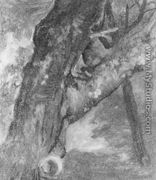 Study Of A Tree - Albert Bierstadt
