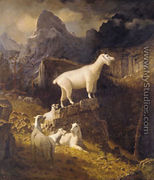 Rocky Mountain Goats - Albert Bierstadt